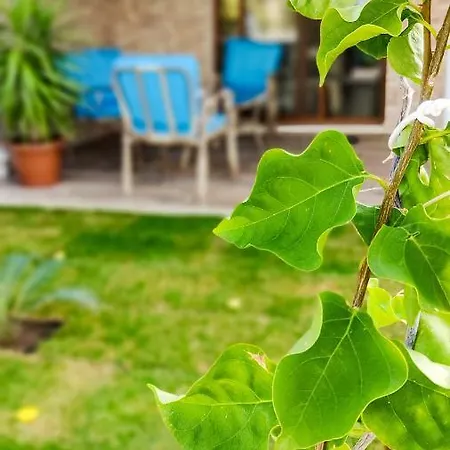 Fethiye Villa Huelya * Φετιγιέ