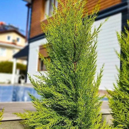 Fethiye Villa Huelya *